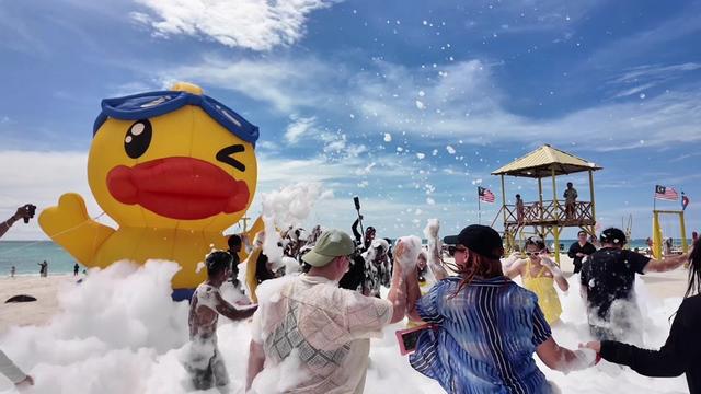 萝莉岛旅游活动